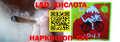 гашик Нальчик