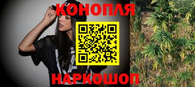 гашик Нальчик