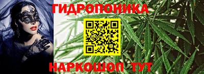 эйфоретик Новозыбков