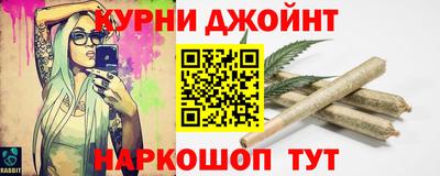 гашик Нальчик